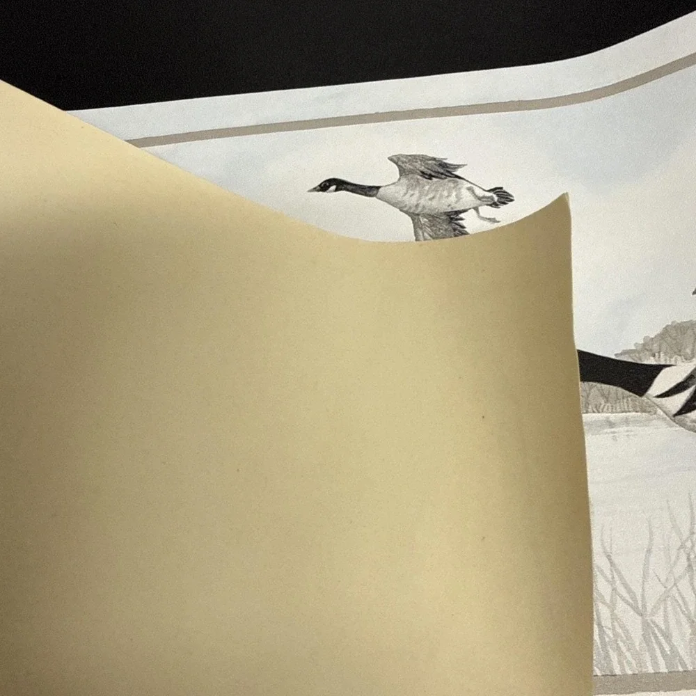 Canadian Geese Flying Wall Paper Border Rolls Nature 16Ft Each Vinyl Pre-Pasted